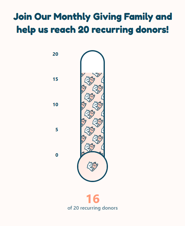 Animated custom donation thermometer
