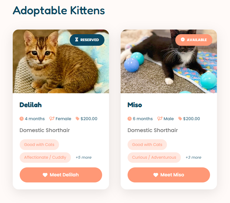 Custom ShelterLuv plugin displaying adoptable kittens
